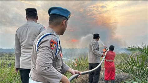 Kebakaran Lahan Di Ogan Ilir Warga Dan Pekerja Kebun Berupaya Padamkan