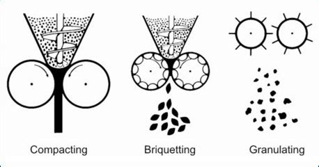 Processes in roller compaction for dry granulation - SaintyTec