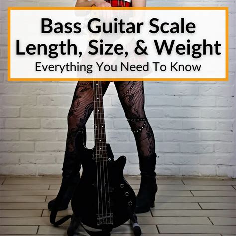 Bass Guitar Scale Length Size And Weight Everything You Need To Know