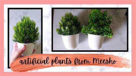 Meesho Artificial Plants Haul YouTube