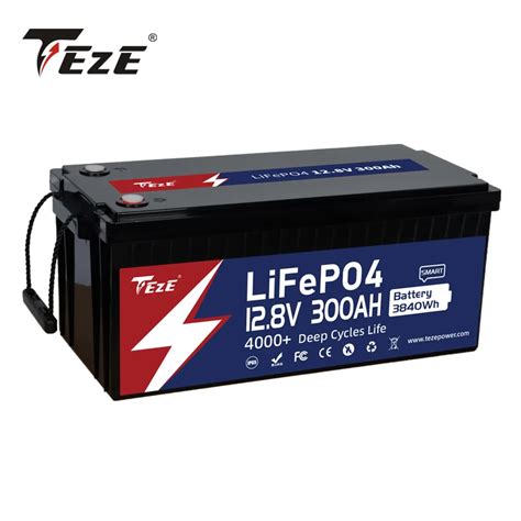 Batterie LifePo4 avec BMS Intégré Test et Avis