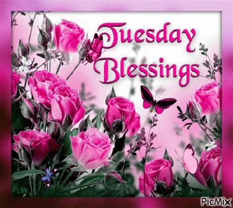 Butterfly And Flower Tuesday Blessings  Pictures Photos And Images