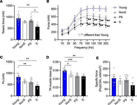 Jci Mouse Sarcopenia Model Reveals Sex And Age Specific Differences