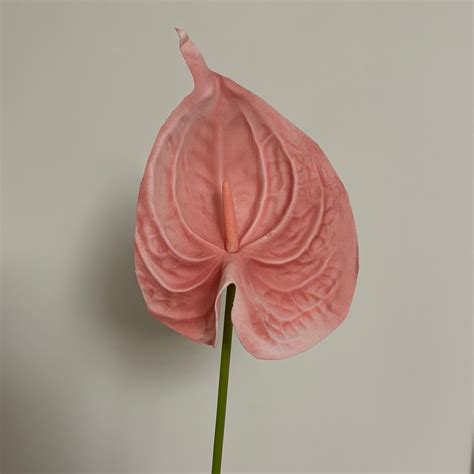 Real Touch Anthurium Large Stem Etsy