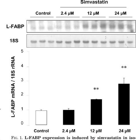 Figure 1 From Statin Induction Of Liver Fatty Acid Binding Protein L