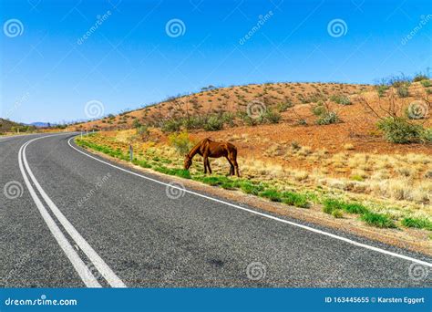 Australian Highway Freeway Road With Wineries Landscape Stock