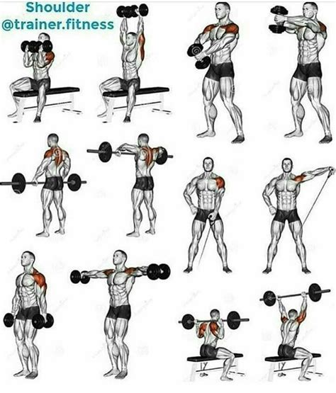 Loading Shoulder Workout Biceps Workout Gym Workouts