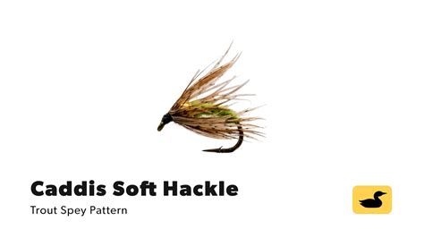 Fly Tying Tutorial Caddis Soft Hackle Youtube