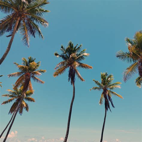 Dominican Republic Tips 2023 | Facebook