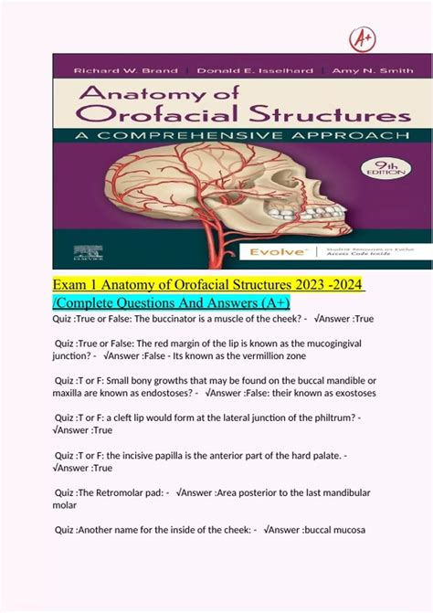 Exam Anatomy Of Orofacial Structures Stuvia Us