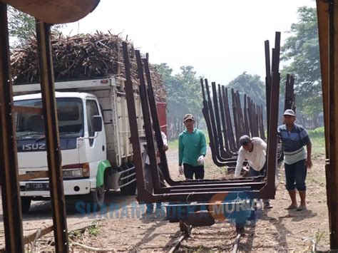 Bongkar Muat Tebu Di Pabrik Gula Warisan Belanda PG Rendeng Kudus