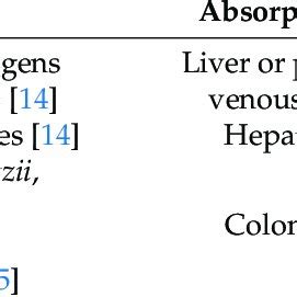 The Production Absorption And Transport Receptors Of Major SCFAs