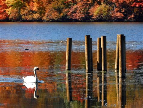 Bucks County fall foliage, leaf peeping season coming