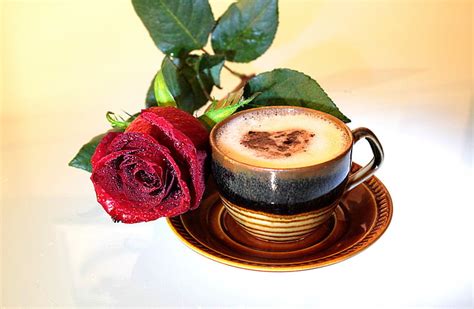 Royalty Free Photo Cup Of Coffee With Red Rose Flower Pickpik