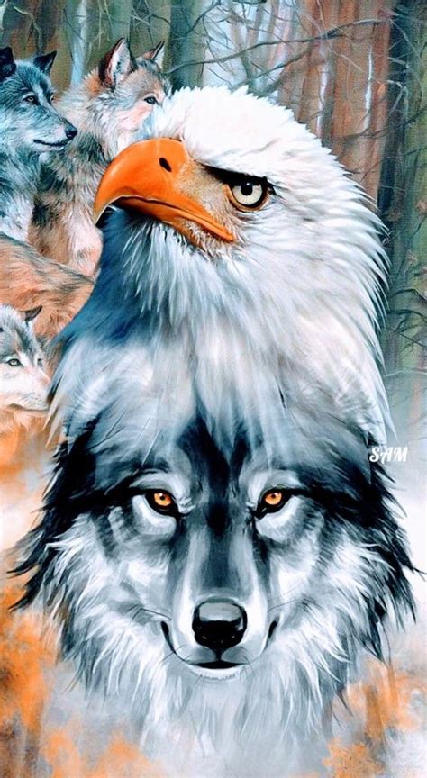 Eagle Images Wolf Images Eagle Pictures Wolf Pictures Eagle
