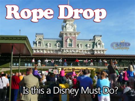 Is It Worth Getting Up Early To See Rope Drop At Magic Kingdom