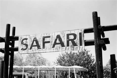 Zanzibar Safari Getaway Book A Tour Online Luxe Tribes