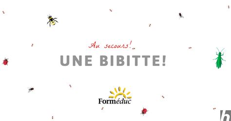 bibitte (1) - Formeduc