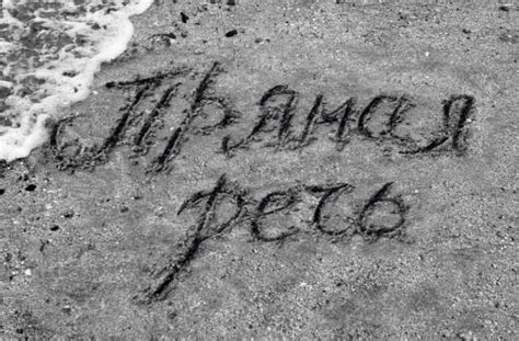 Слова и смыслы