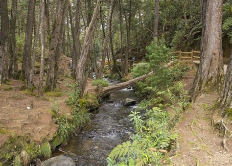 Medellín, One day adventure at Arvi Park | GetYourGuide