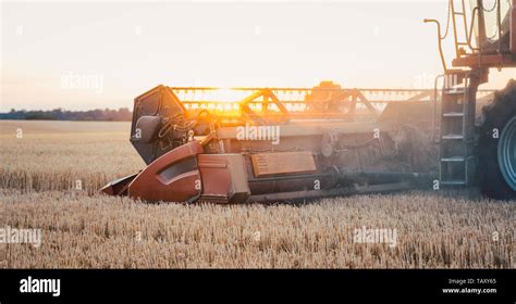 Combine Harvester Harvesting Wheat During Sunset Stock Photo Alamy