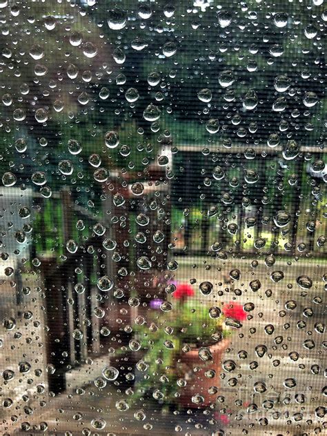 Summer Rain Photograph by HD Connelly