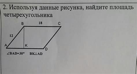 используя данные рисунка, найдите площадь четырехугольника. - Школьные ...