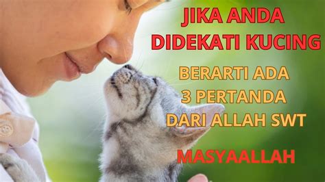 Jika Anda Didekati Kucing Ada Pertanda Dari Allah Swt Masyaallah