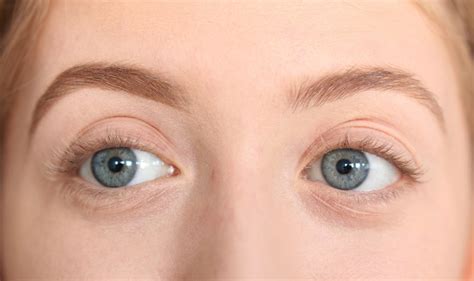 review anastasia brow wiz brow gel lily