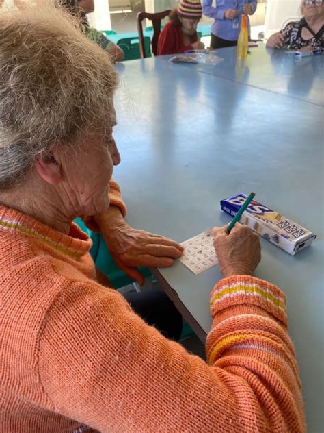 A O Social Servi O De Acolhimento Institucional Para Idosos S O