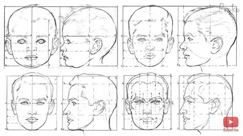 Loomis Head Studies | Lições de desenho, Desenhando cabeças, Desenho