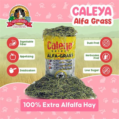 Jual Repack Rumput Alfafa Hay Caleya Alfa Hay Shopee Indonesia