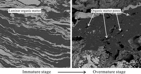 Pore Evolution Of Lacustrine Organic Rich Shales Insights From Thermal