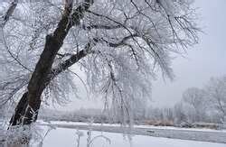 Winter Season in India | Importance | Essay & Paragraph