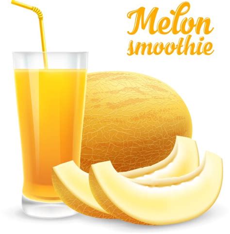 Avocado Smoothie Royalty Free Vector Image Vectorstock