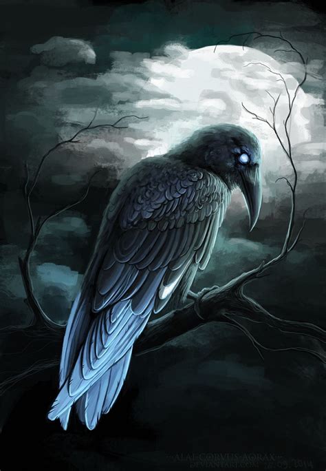 Raven And Wolf, Quoth The Raven, Raven Bird, Crow Art, Bird Art ...