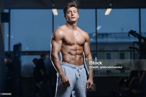 Pria Muda Model Tampan Berolahraga Di Gym Foto Stok Unduh Gambar