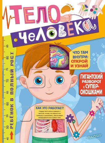 «Тело человека» - описание книги | Большая книга с окошками для ...
