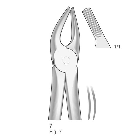 Forceps N 7 Bontempi Royal Dent