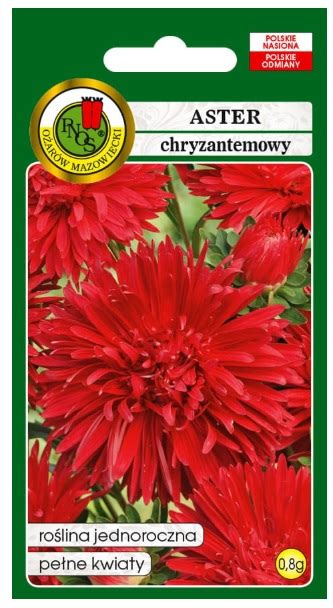 Nasiona Aster Chryzantemowy Czerwony Pnos Callistephus Chinensis