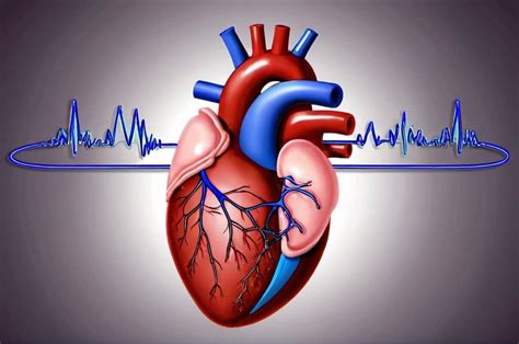 Understanding Arrhythmia and Its Diagnosis and Treatment in Singapore ...