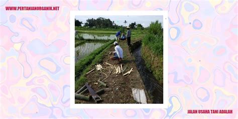 Jalan Usaha Tani Adalah Langkah Menuju Kesejahteraan Petani Pertanian