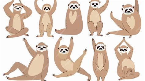 Sloth Yoga Poses Colored Vector Set Premium Ai Generated Vector