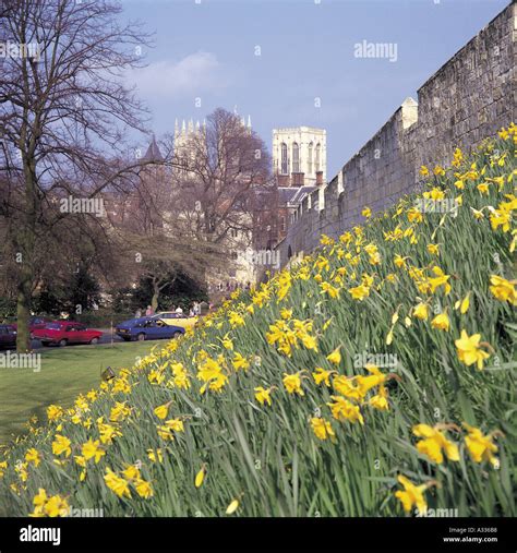 York City Walls Stock Photo - Alamy