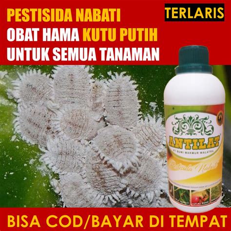 Promo Antilat Pestisida Nabati Obat Hama Kutu Putih Obat Hama Kutu