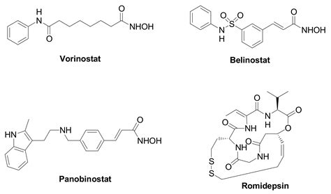 HDAC Inhibitors In Triple Negative Breast Cancer Encyclopedia MDPI