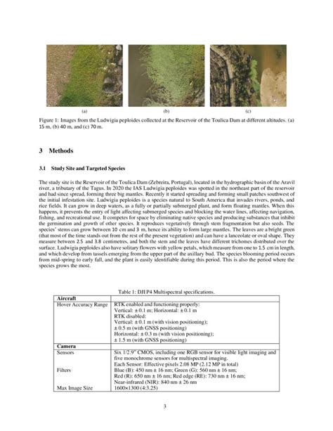 Ludvision Remote Detection Of Exotic Invasive Aquatic Floral Species