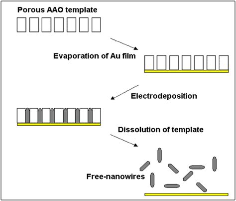 Template Assisted Electrochemical Synthesis Of Semiconductor Nanowires Intechopen