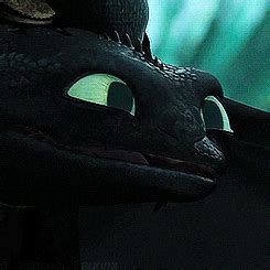 Httyd GIF - Find & Share on GIPHY