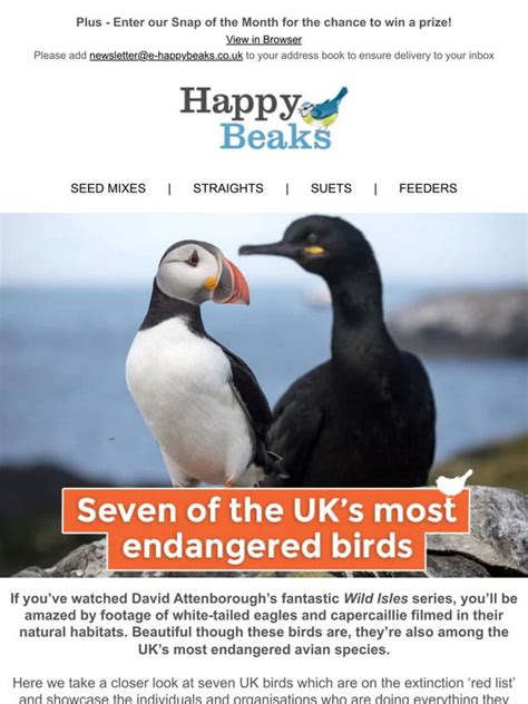 Happy Beaks Seven Of The Uks Most Endangered Birds Milled